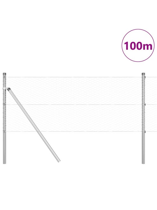 Aed koos postidega hõbedane 0.6 x 100 m pvc kaetud teras