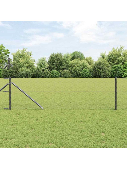 Aed koos postidega hall 0.6 x 10 m pvc kaetud teras