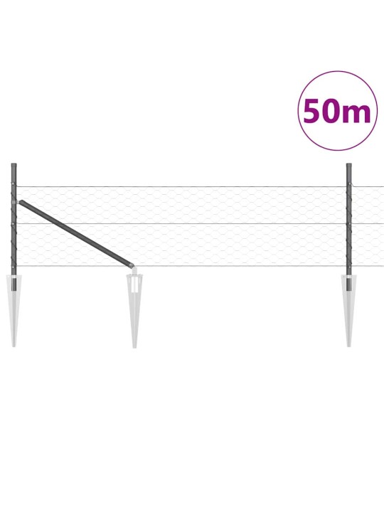 Aed koos postidega hall 0.8 x 50 m pvc kaetud teras