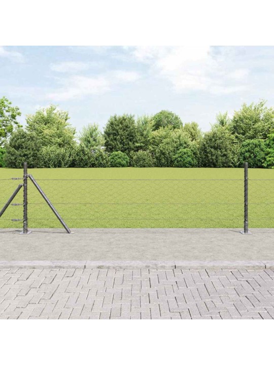Aed koos postidega hall 0.5 x 10 m pvc kaetud teras