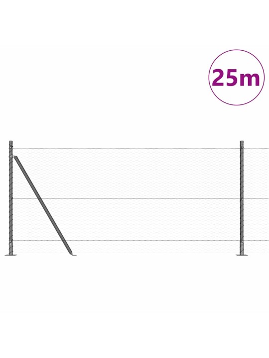 Aed koos postidega hall 0.8 x 25 m pvc kaetud teras