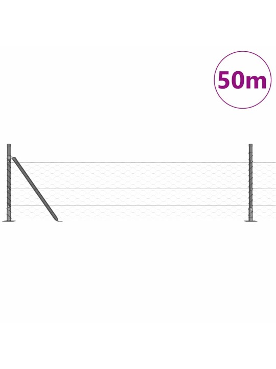 Aed koos postidega hall 0.5 x 50 m pvc kaetud teras