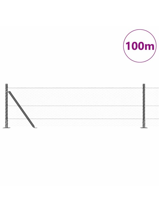 Aed koos postidega hall 0.6 x 100 m pvc kaetud teras
