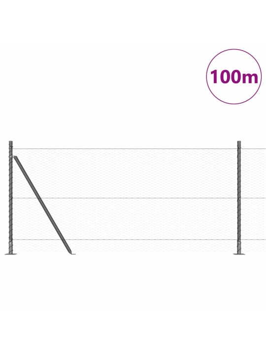 Aed koos postidega hall 0.8 x 100 m pvc kaetud teras