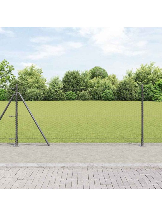 Aed koos postidega hall 0.8 x 100 m pvc kaetud teras