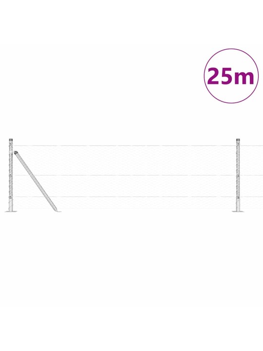 Aed koos postidega hõbedane 0.4 x 25 m pvc kaetud teras