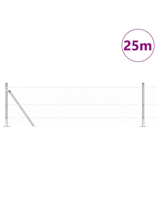 Aed koos postidega hõbedane 0.4 x 25 m pvc kaetud teras