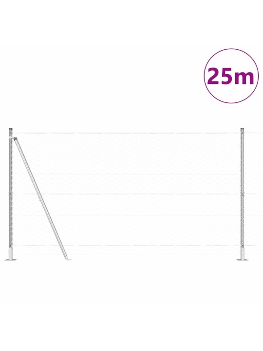 Aed koos postidega hõbedane 1.2 x 25 m pvc kaetud teras