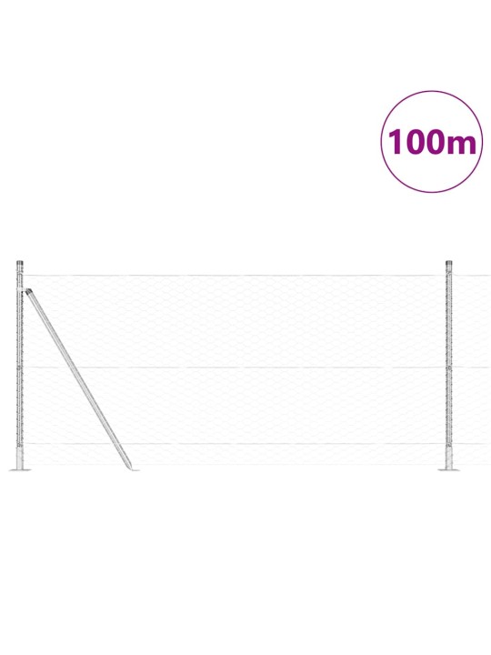 Aed koos postidega hõbedane 1 x 100 m pvc kaetud teras