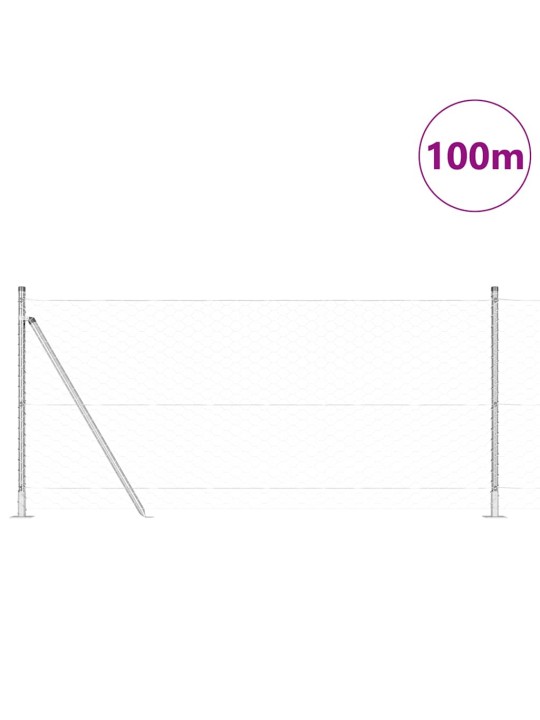 Aed koos postidega hõbedane 1 x 100 m pvc kaetud teras
