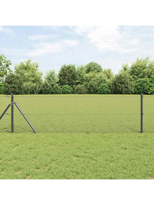 Aed koos postidega hall 0.5 x 10 m teras