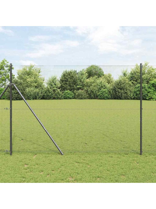 Aed koos postidega hall 1.5 x 10 m teras