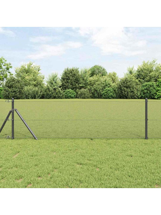 Aed koos postidega hall 0.5 x 25 m teras