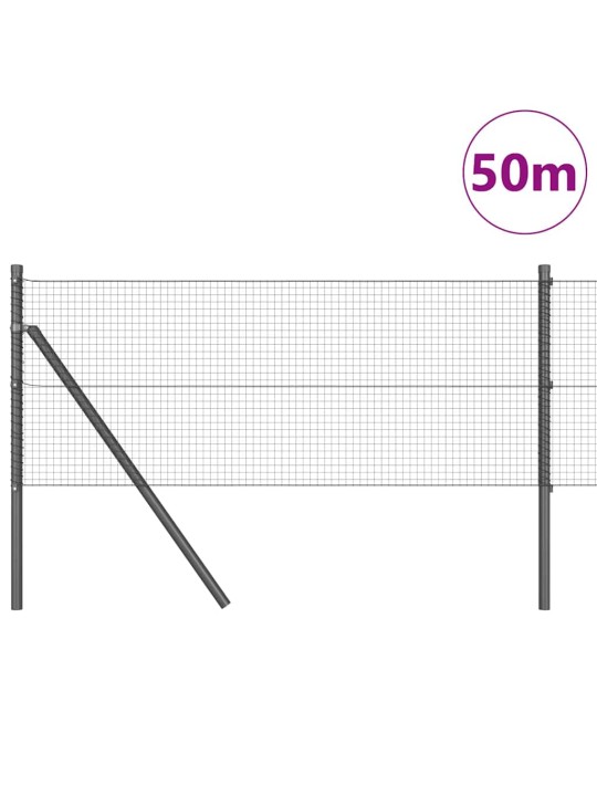Aed koos postidega hall 0.5 x 50 m teras