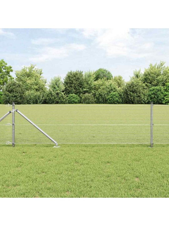 Aed koos postidega hõbedane 0.4 x 10 m teras