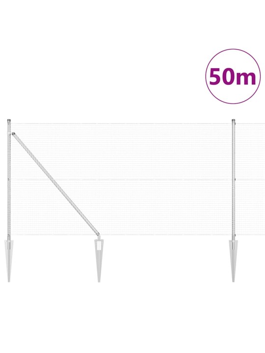 Aed koos postidega hõbedane 1 x 100 m teras