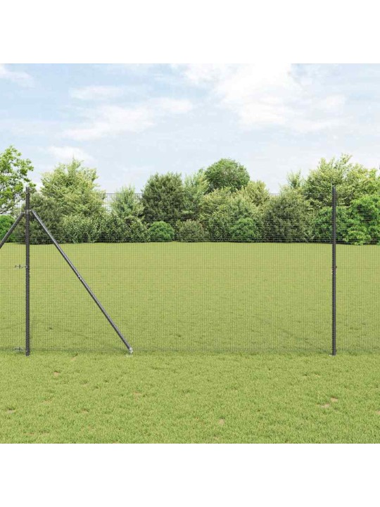 Aed koos postidega hall 1.5 x 25 m teras