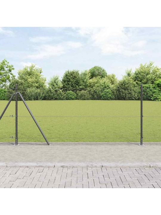 Aed koos postidega hall 0.8 x 10 m teras