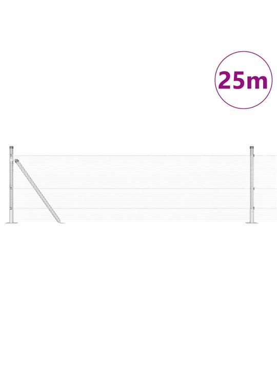 Aed koos postidega hall 0.6 x 25 m teras