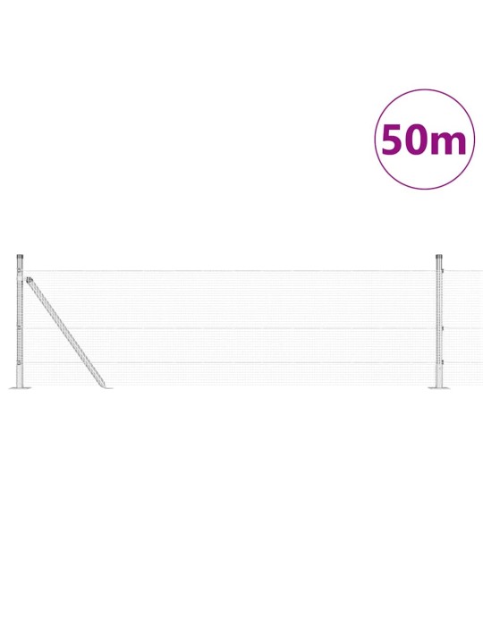 Aed koos postidega hall 0.5 x 50 m teras