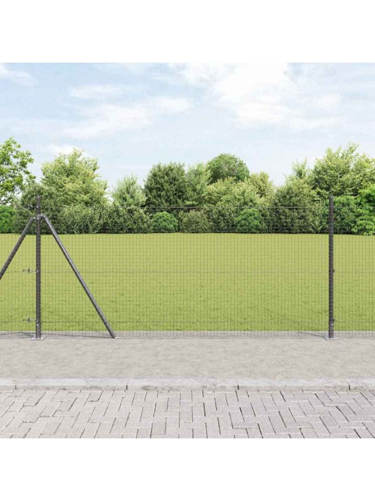 Aed koos postidega hall 0.8 x 50 m teras