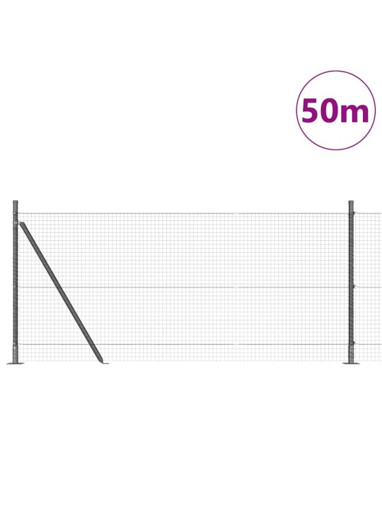 Aed koos postidega hall 0.8 x 50 m teras