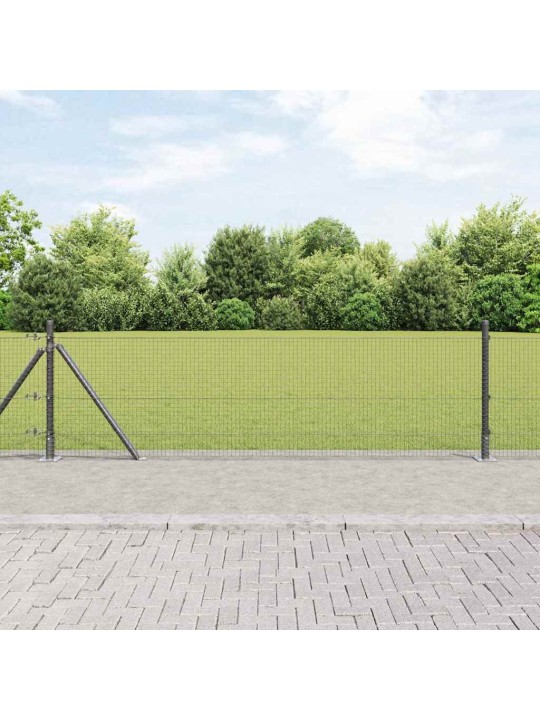 Aed koos postidega hall 0.5 x 100 m teras
