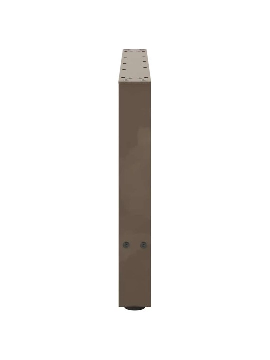 KOHVILAUA JALAD, NATURAALNE TERAS, 2 TK, 70 X (42–43) CM, TERAS
