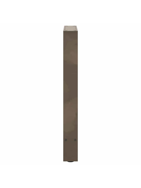SÖÖGILAUA JALAD, NATURAALNE TERAS, 2 TK, 50 X (72–73) CM, TERAS
