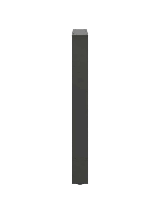 SÖÖGILAUA JALAD, ANTRATSIITHALL, 2 TK, 60 X (72-73) CM, TERAS