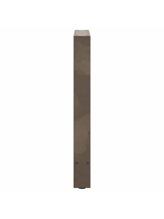 SÖÖGILAUA JALAD, NATURAALNE TERAS, 2 TK, 60 X (72–73) CM, TERAS