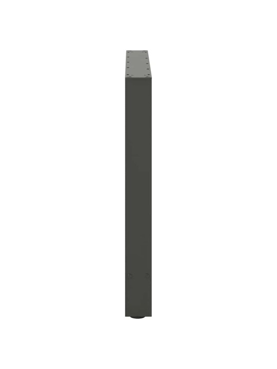 SÖÖGILAUA JALAD, ANTRATSIITHALL, 2 TK, 70 X (72-73) CM, TERAS