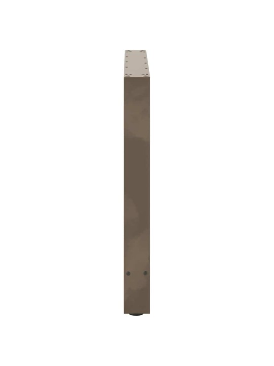 SÖÖGILAUA JALAD, NATURAALNE TERAS, 2 TK, 70 X (72–73) CM, TERAS