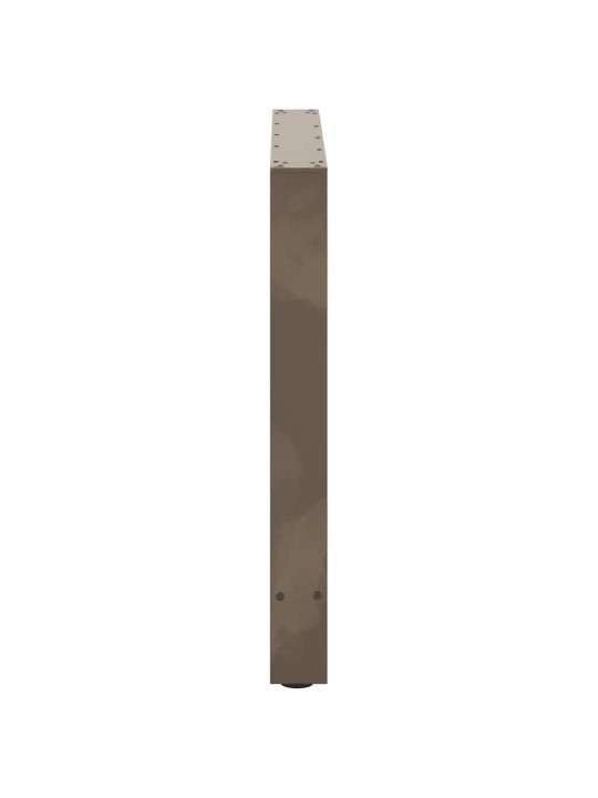 SÖÖGILAUA JALAD, NATURAALNE TERAS, 2 TK, 80 X (72–73) CM, TERAS
