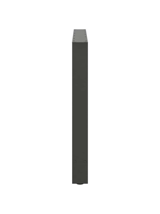 SÖÖGILAUA JALAD, ANTRATSIITHALL, 2 TK, 90 X (72–73) CM, TERAS