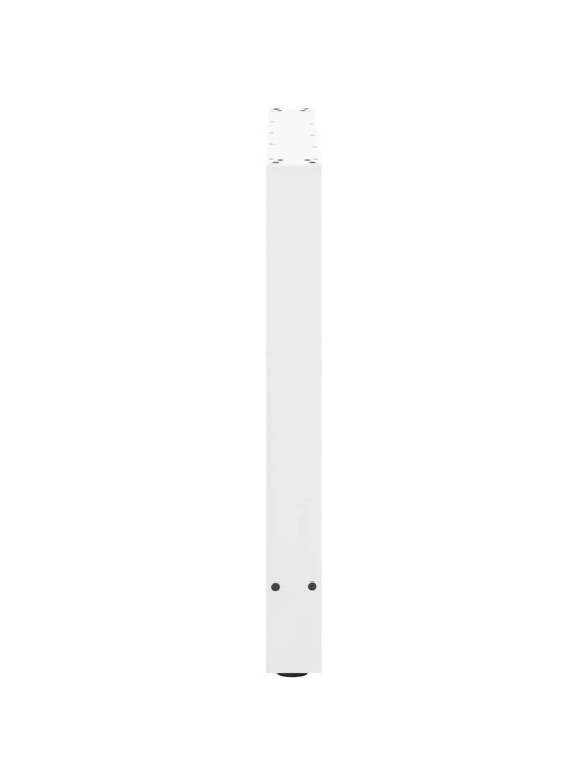 SÖÖGILAUA JALAD, VALGED, 2 TK, 100 X (72–73) CM, TERAS