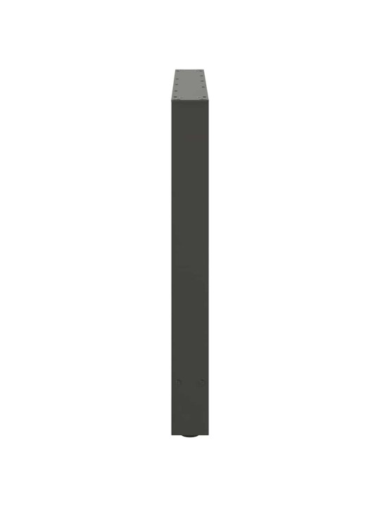 SÖÖGILAUA JALAD, ANTRATSIITHALL, 2 TK, 100 X (72-73) CM, TERAS