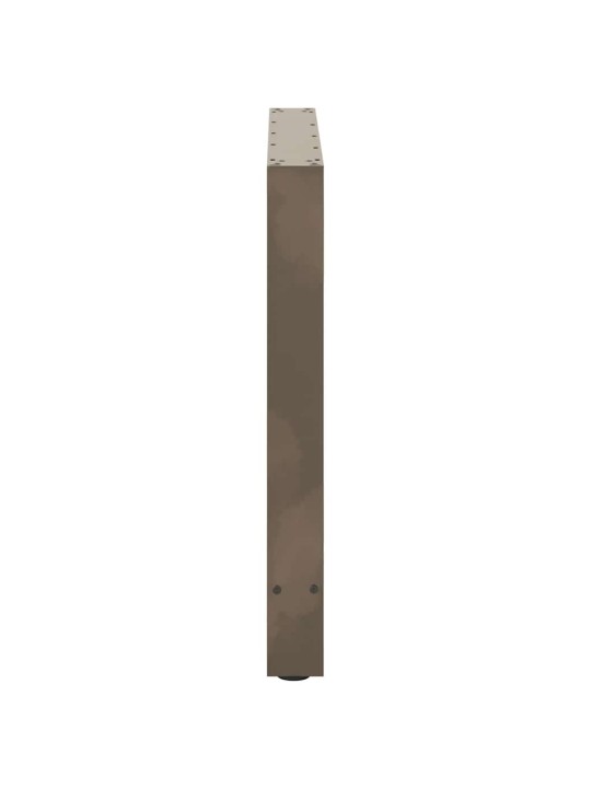 SÖÖGILAUA JALAD, NATURAALNE TERAS, 2 TK, 100 X (72–73) CM, TERAS
