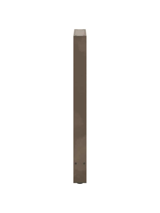 BAARILAUA JALAD, NATURAALNE TERAS, 2 TK, 50 X (90–91) CM, TERAS