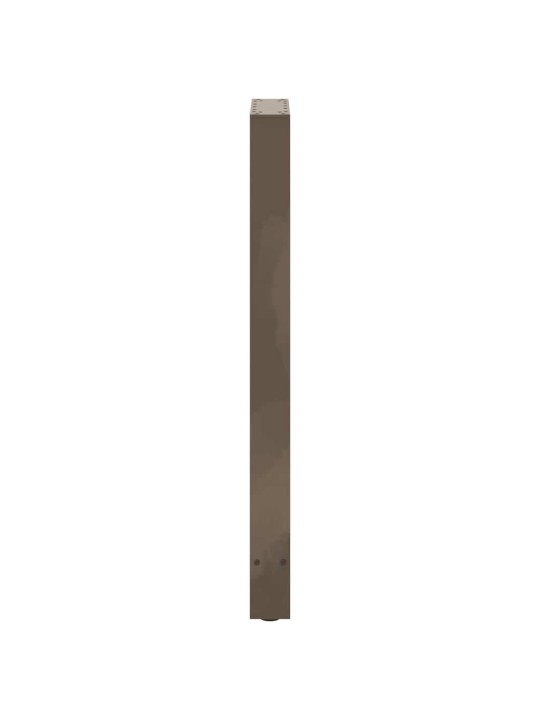 BAARILAUA JALAD, NATURAALNE TERAS, 2 TK, 50 X (100–101) CM, TERAS