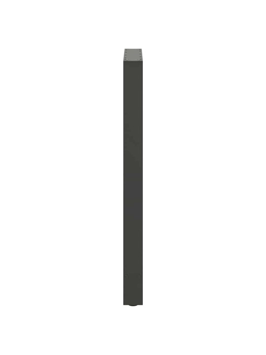 BAARILAUA JALAD, ANTRATSIITHALL, 2 TK, 60 X (100-101) CM, TERAS