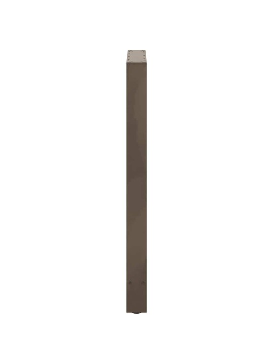 BAARILAUA JALAD, NATURAALNE TERAS, 2 TK, 60 X (100–101) CM, TERAS