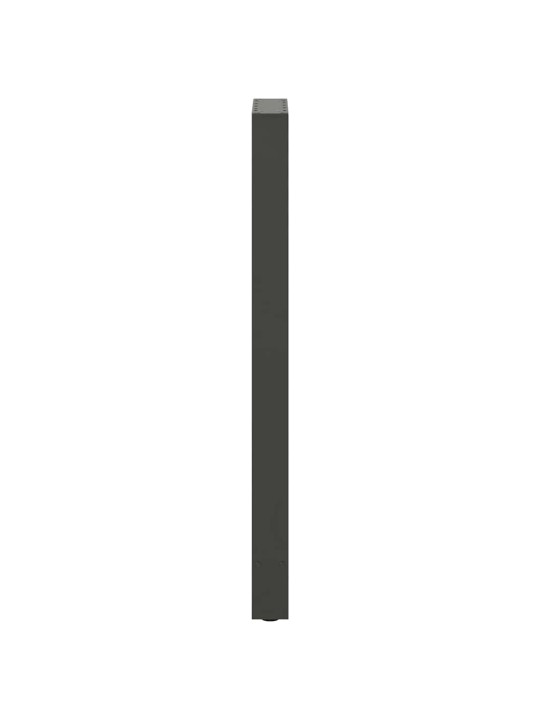 BAARILAUA JALAD, ANTRATSIITHALL, 2 TK, 40 X (110-111) CM, TERAS