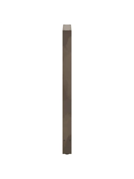 BAARILAUA JALAD, NATURAALNE TERAS, 2 TK, 60 X (110-111) CM, TERAS