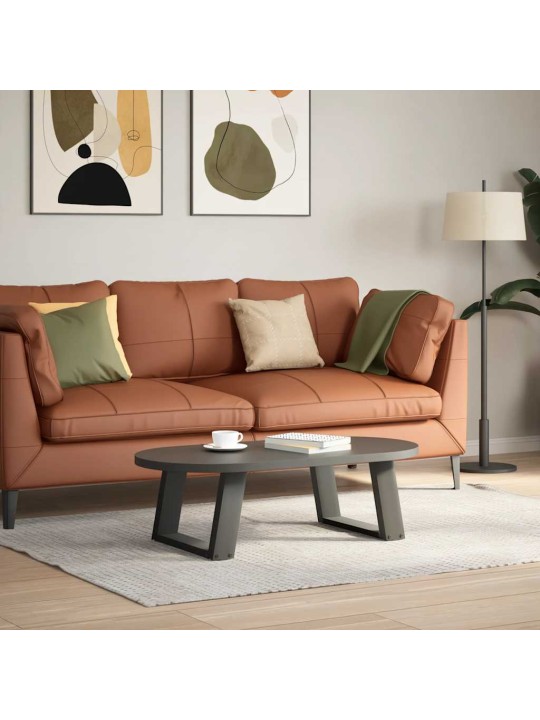 KOHVILAUA JALAD U-KUJULISED 2 TK, ANTRATSIITHALL, 50 X (30-31) CM, TERAS