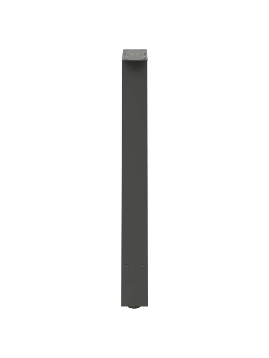 SÖÖGILAUA JALAD, A-KUJULISED, 2 TK, ANTRATSIITHALL, 50 X (72–73) CM, TERAS