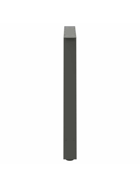SÖÖGILAUA JALAD, A-KUJULISED, 2 TK, ANTRATSIITHALL, 100 X (72-73) CM, TERAS