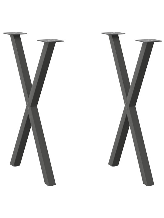 SÖÖGILAUA JALAD, X-KUJULISED, 2 TK, ANTRATSIITHALL, 50 X (72–73) CM, TERAS