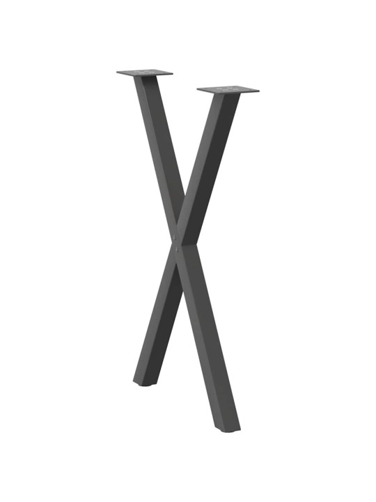 SÖÖGILAUA JALAD, X-KUJULISED, 2 TK, ANTRATSIITHALL, 50 X (72–73) CM, TERAS