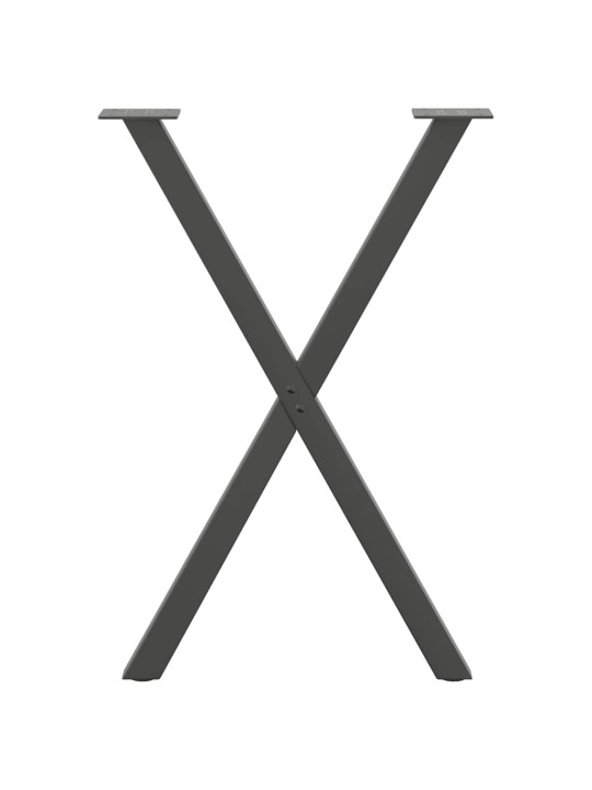 SÖÖGILAUA JALAD, X-KUJULISED, 2 TK, ANTRATSIITHALL, 50 X (72–73) CM, TERAS